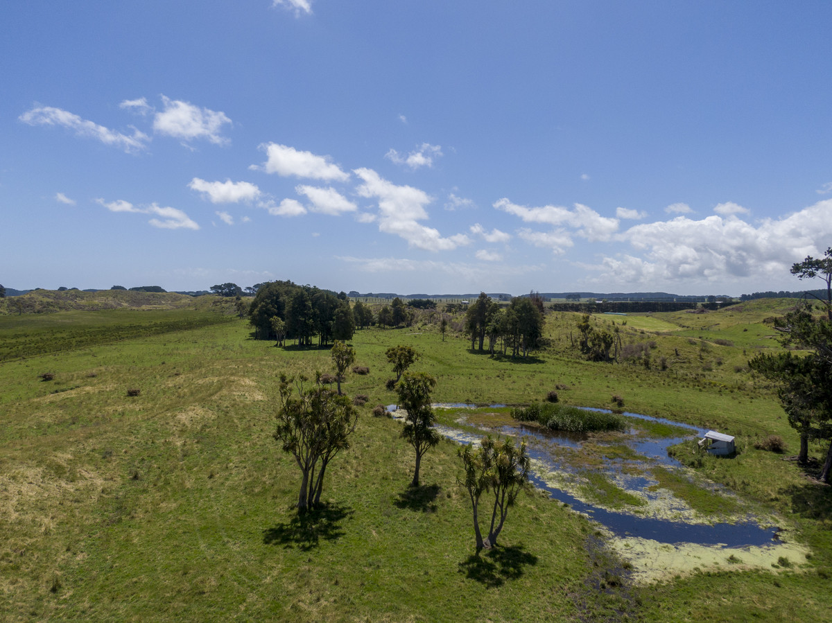 DUCKS, FORESTRY, LEASE INCOME - 64.3HA