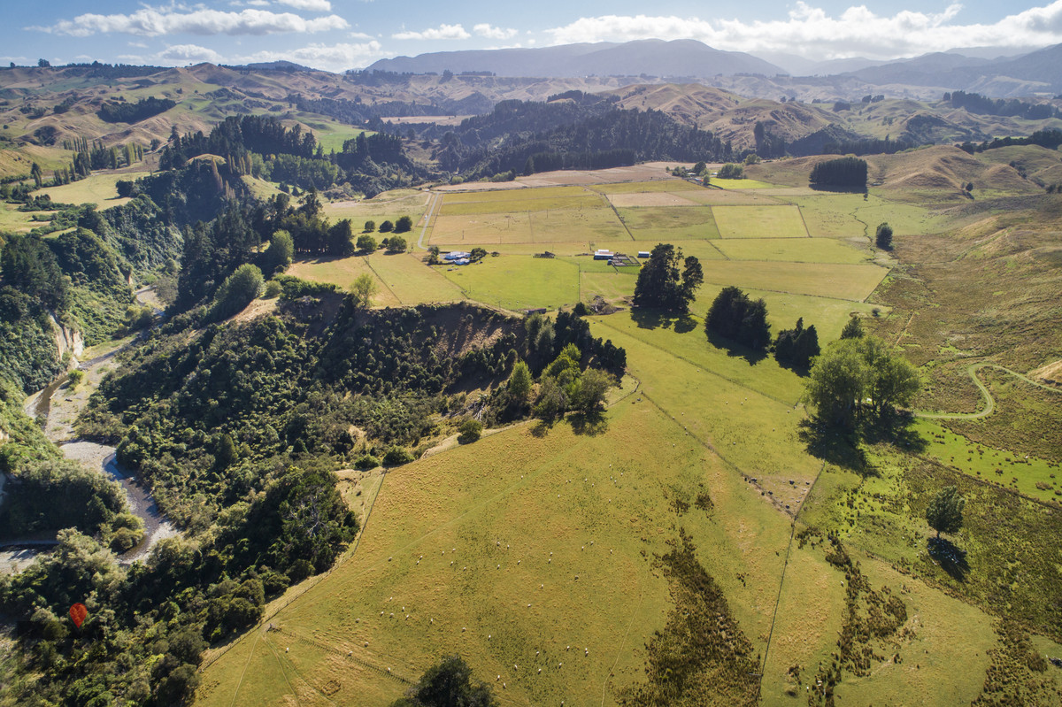 WELL BALANCED & ATTRACTIVE - 161.8HA