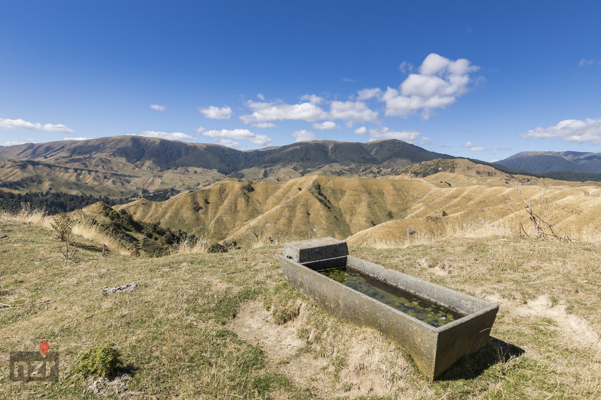 STRONG BREEDING ON WATER SCHEME