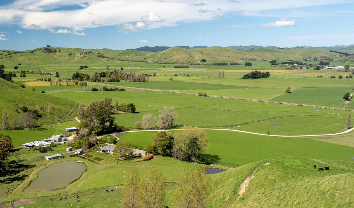 OUTSTANDING TAMAIHU - THE ULTIMATE PACKAGE - 337HA