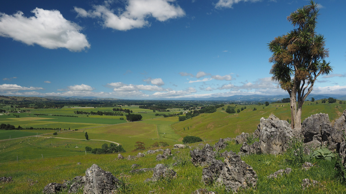 OUTSTANDING TAMAIHU - THE ULTIMATE PACKAGE - 337HA