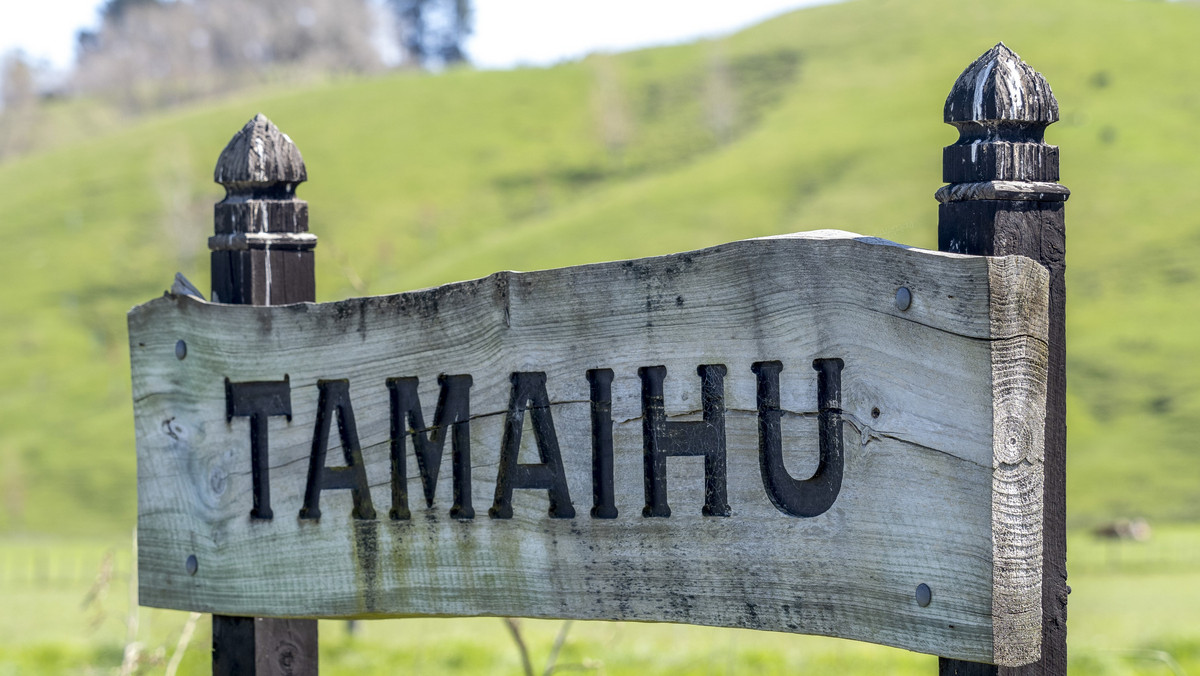 OUTSTANDING TAMAIHU - THE ULTIMATE PACKAGE - 337HA