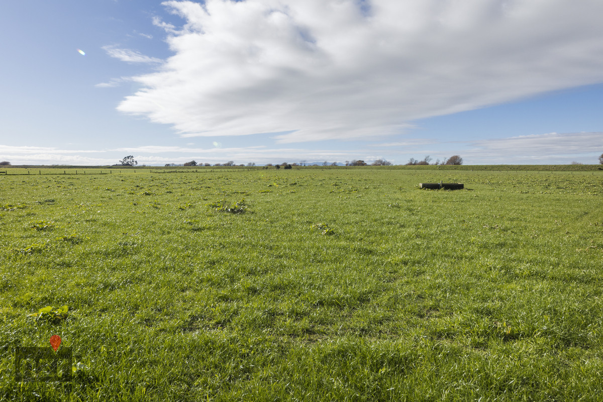 SMARTLY PRESENTED ON VERSATILE SOILS - 113.4HA