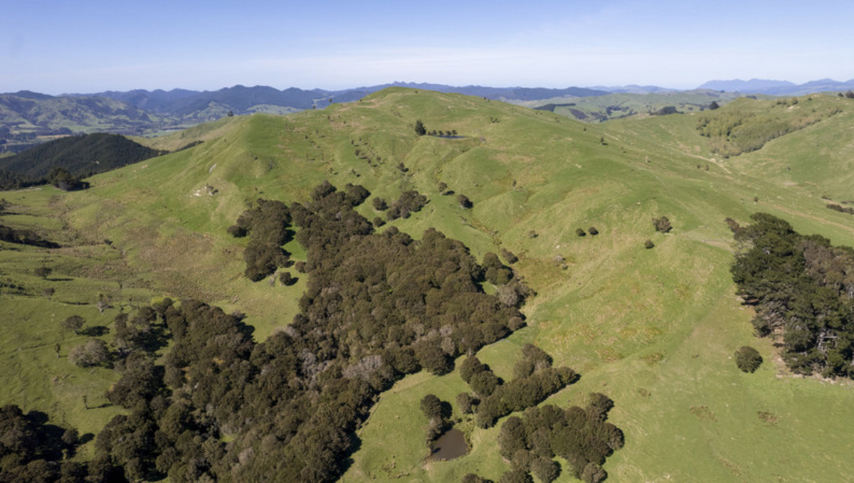 HIKAWERA - GREAT LOCATION, POTENTIAL AND OPTIONS- 588HA