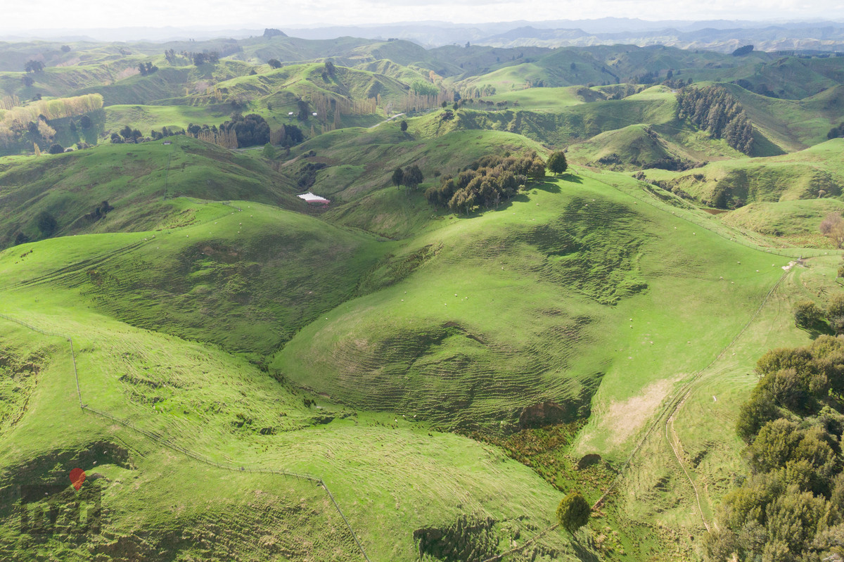 SMART 76 HECTARES ON EDGE OF HUNTERVILLE