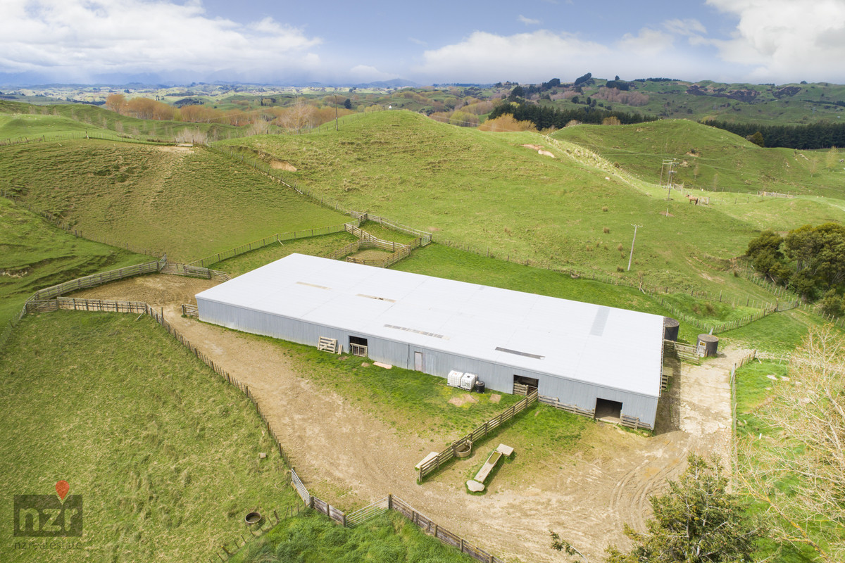 ROBUST MANAWATU HILL COUNTRY WITH DIVERSITY- 335HA