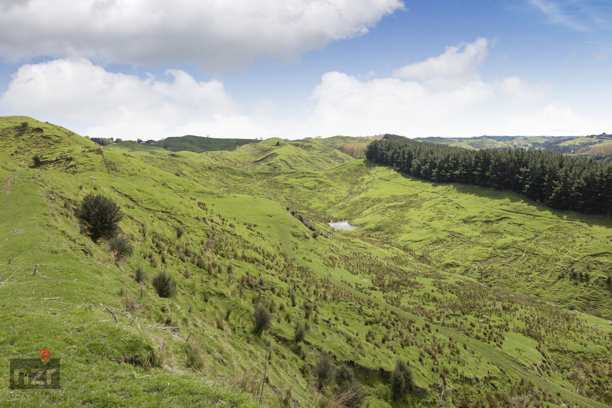 ROBUST MANAWATU HILL COUNTRY WITH DIVERSITY- 335HA