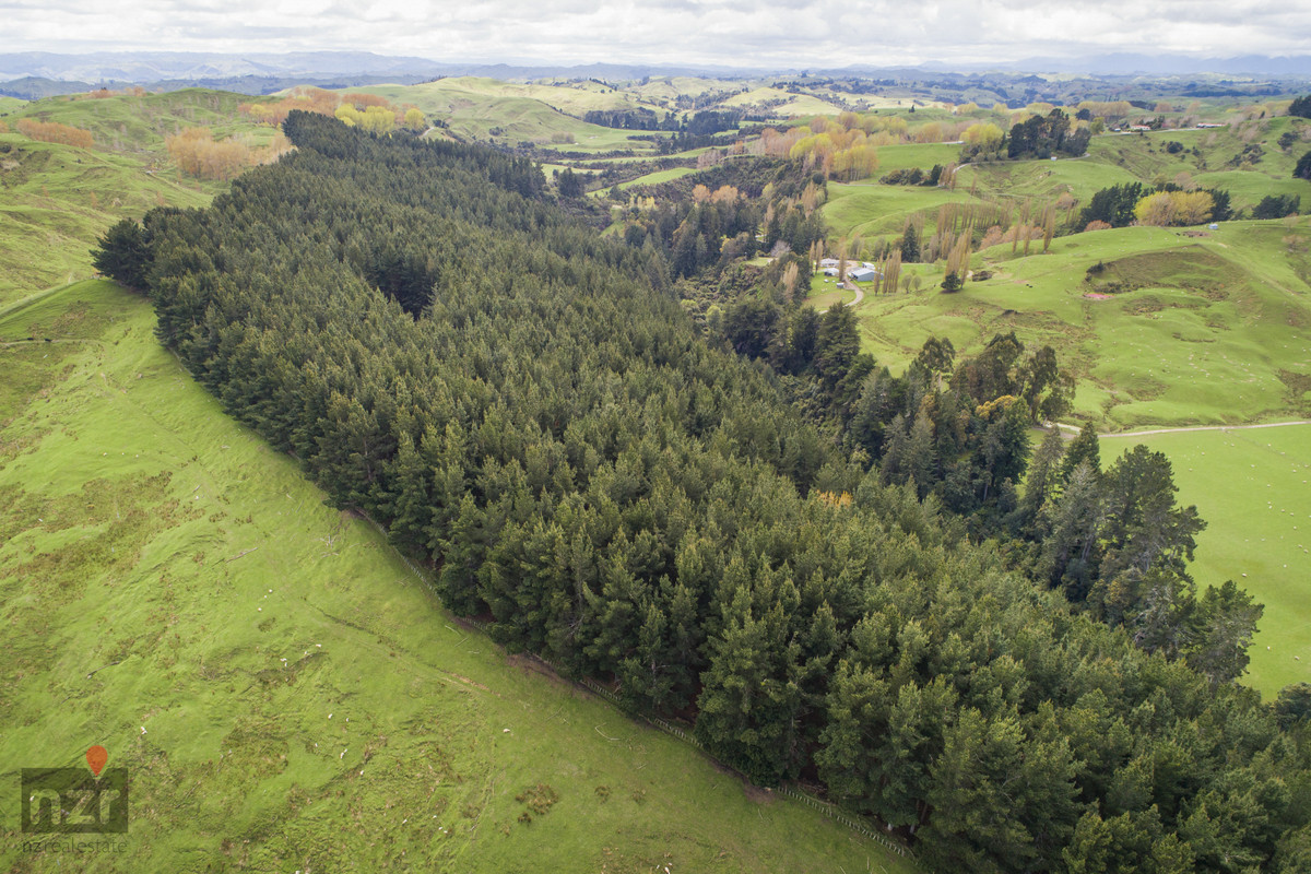 ROBUST MANAWATU HILL COUNTRY WITH DIVERSITY- 335HA