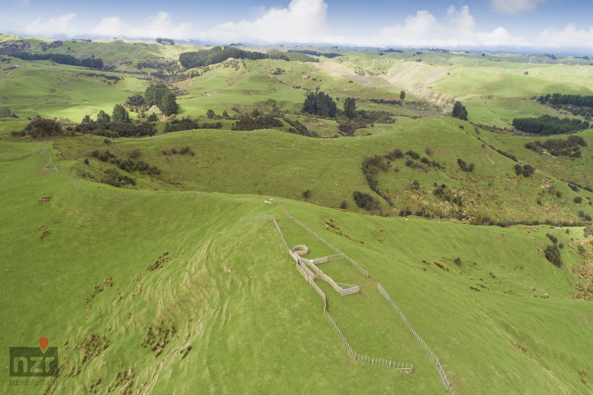 ROBUST MANAWATU HILL COUNTRY WITH DIVERSITY- 335HA