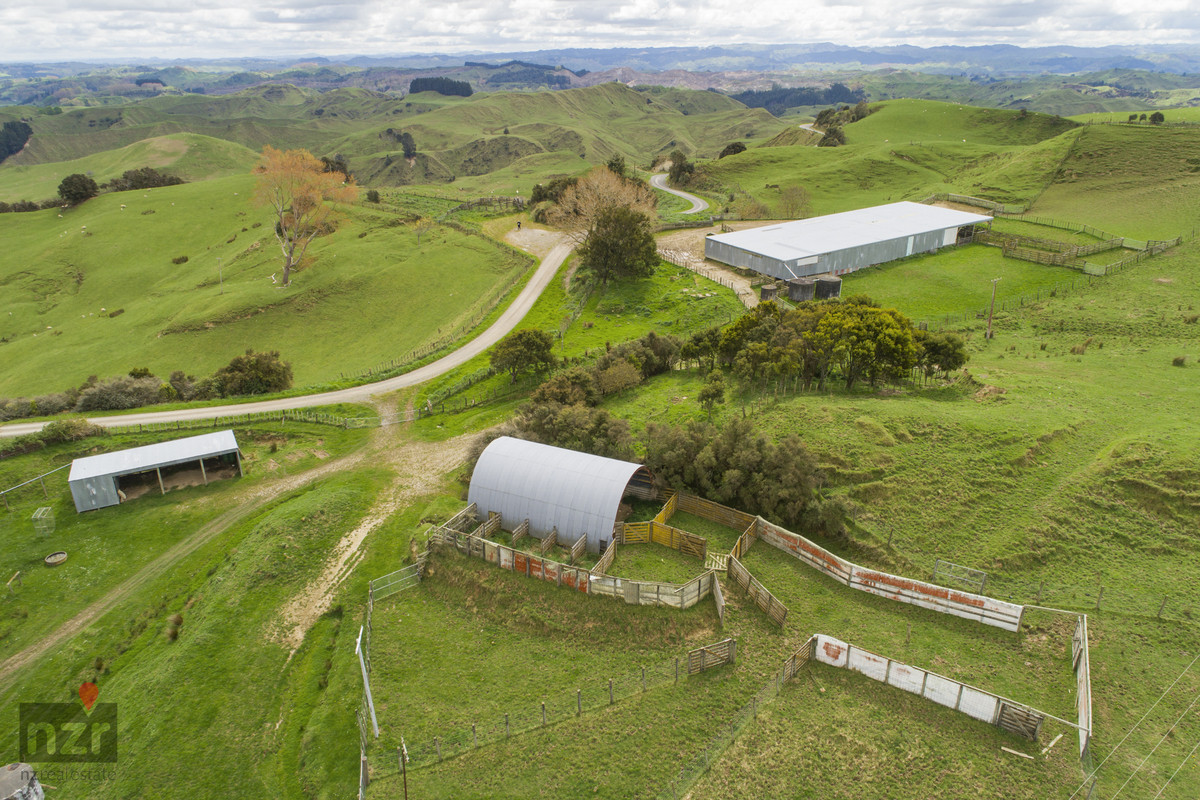 ROBUST MANAWATU HILL COUNTRY WITH DIVERSITY- 335HA