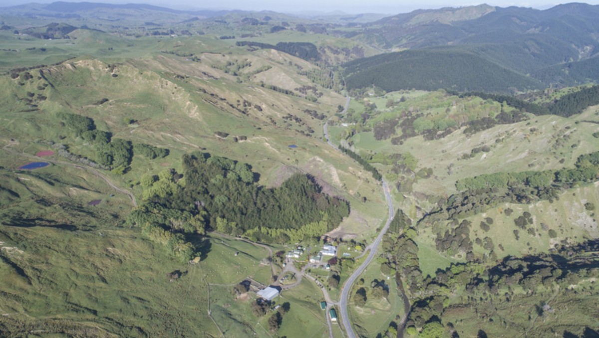 TE MAIRE- LOCATION AND UNTAPPED POTENTIAL - 445HA