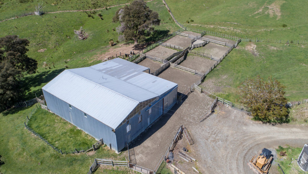 TE MAIRE- LOCATION AND UNTAPPED POTENTIAL - 445HA