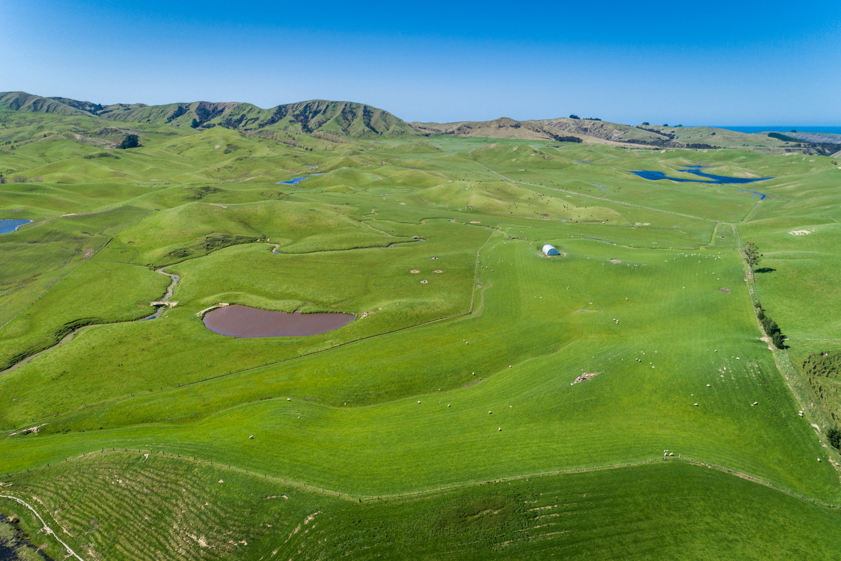 MOTONUI STATION - SCALE WITH FINISHING COUNTRY