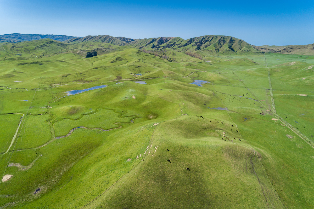 MOTONUI STATION - SCALE WITH FINISHING COUNTRY