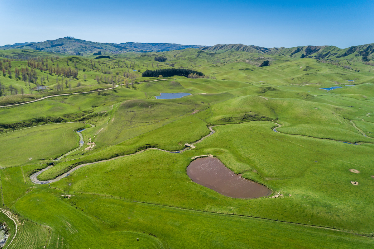 MOTONUI STATION - SCALE WITH FINISHING COUNTRY