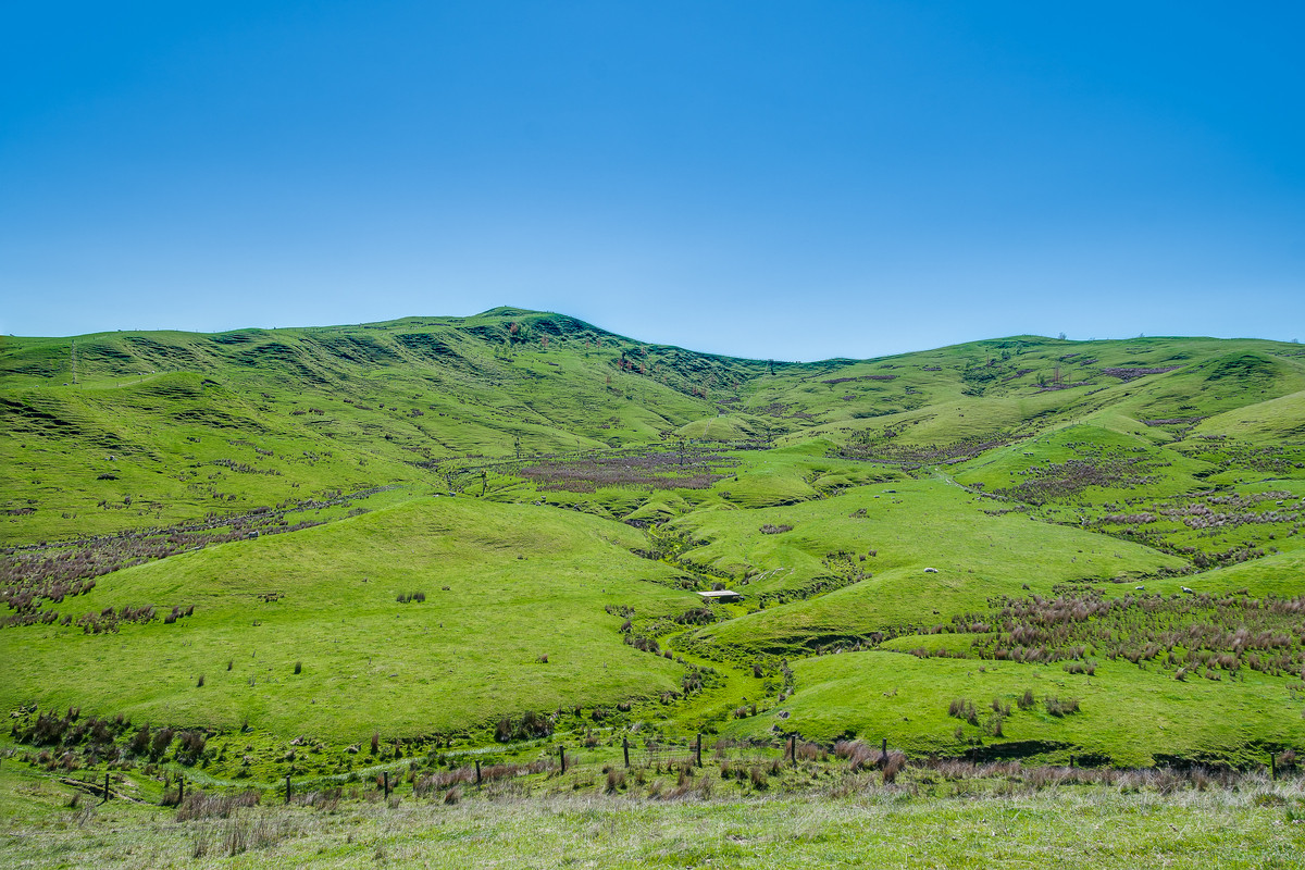 MOTONUI STATION - SCALE WITH FINISHING COUNTRY