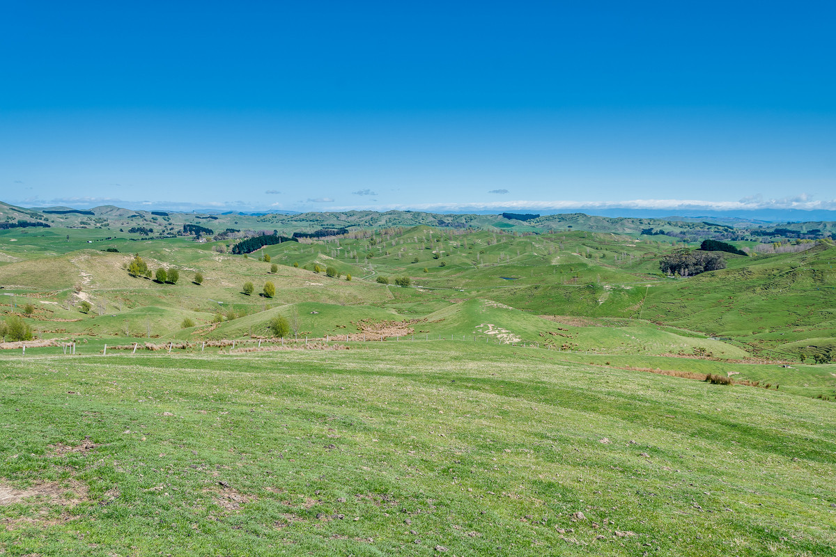 MOTONUI STATION - SCALE WITH FINISHING COUNTRY