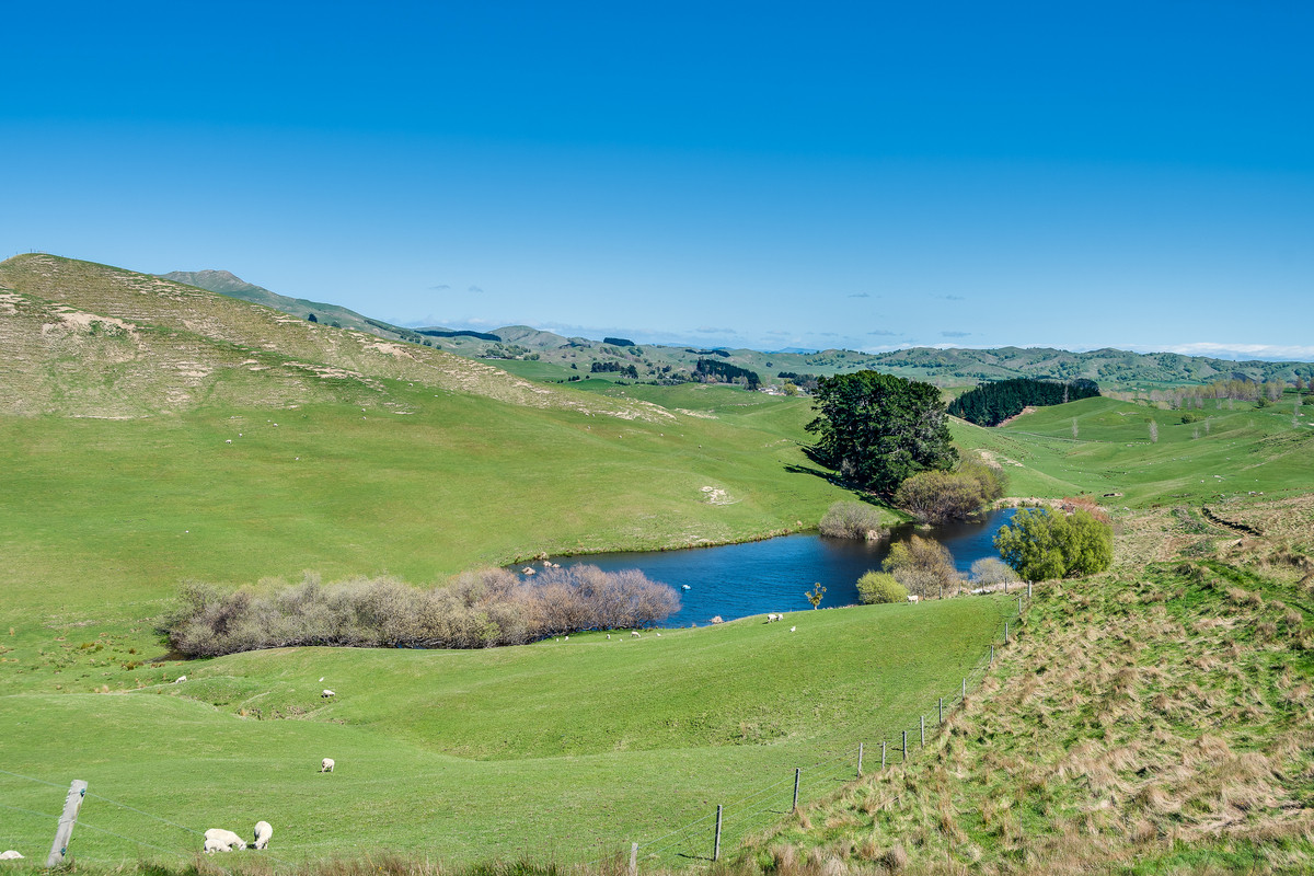 MOTONUI STATION - SCALE WITH FINISHING COUNTRY