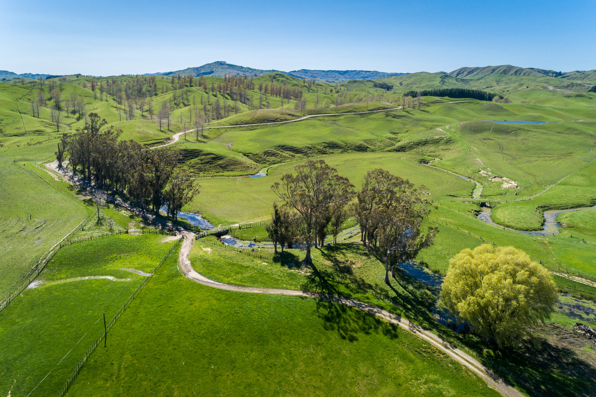 MOTONUI STATION - SCALE WITH FINISHING COUNTRY