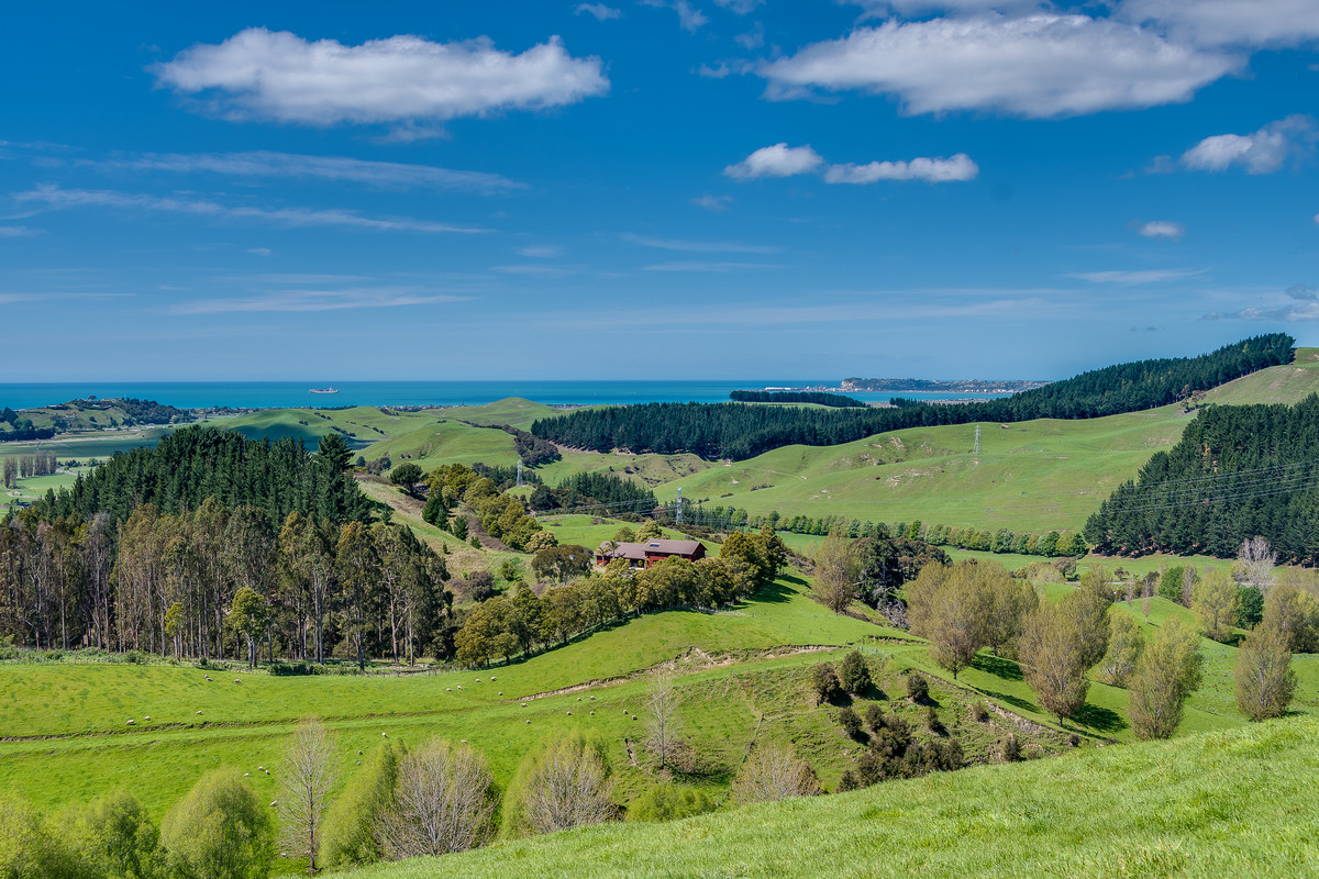 48 HECTARES BARELAND WITH OCEAN and NAPIER VIEWS - 15 MINUTES FROM TOWN