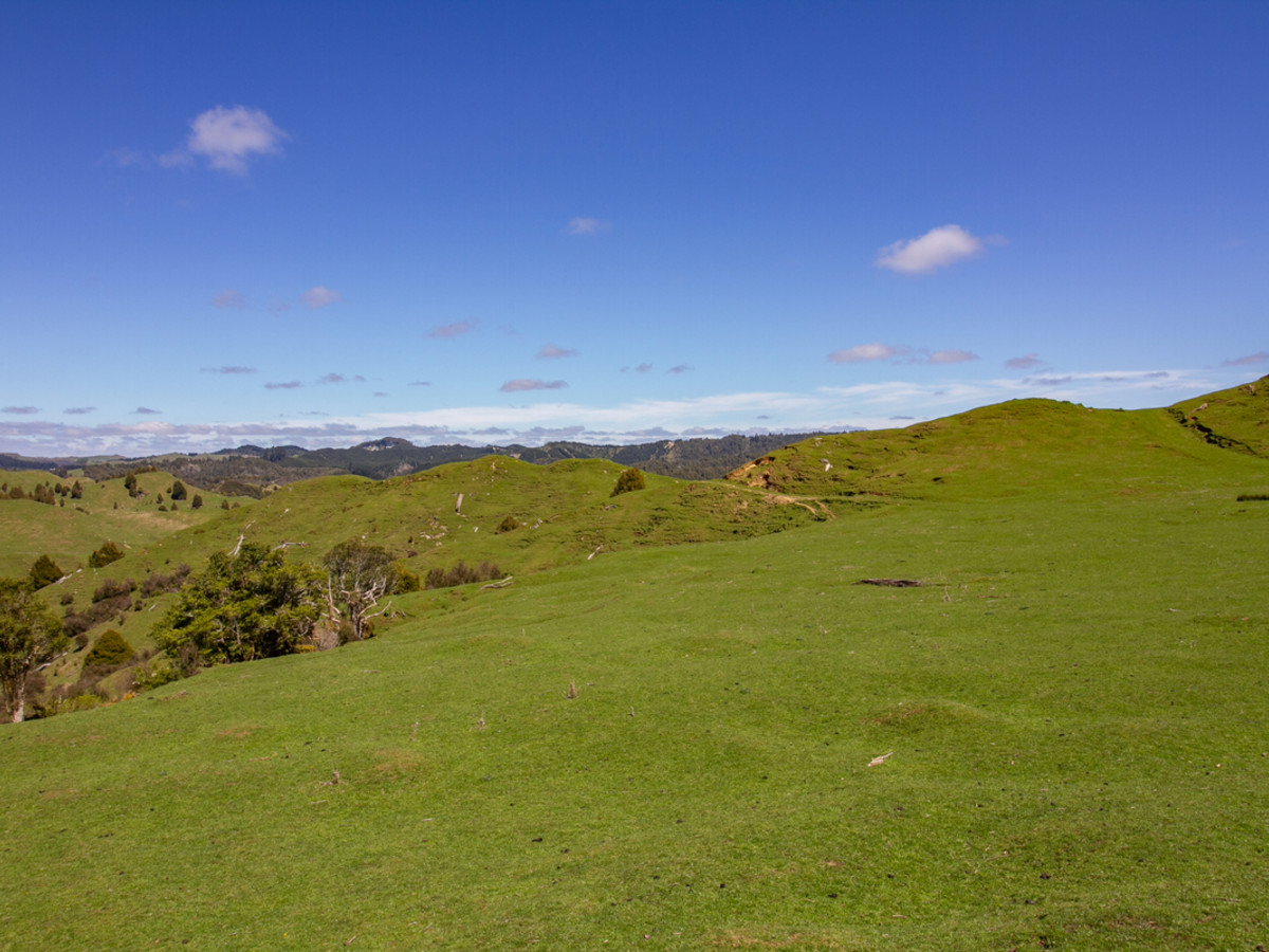 MANUITI - EASY HILLS WITH A GREAT LOCATION