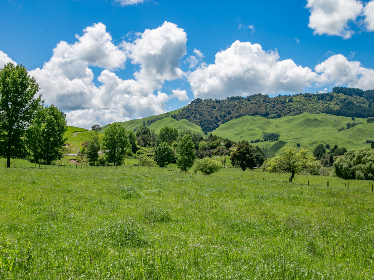 FIRST FARM OR LIFESTYLE