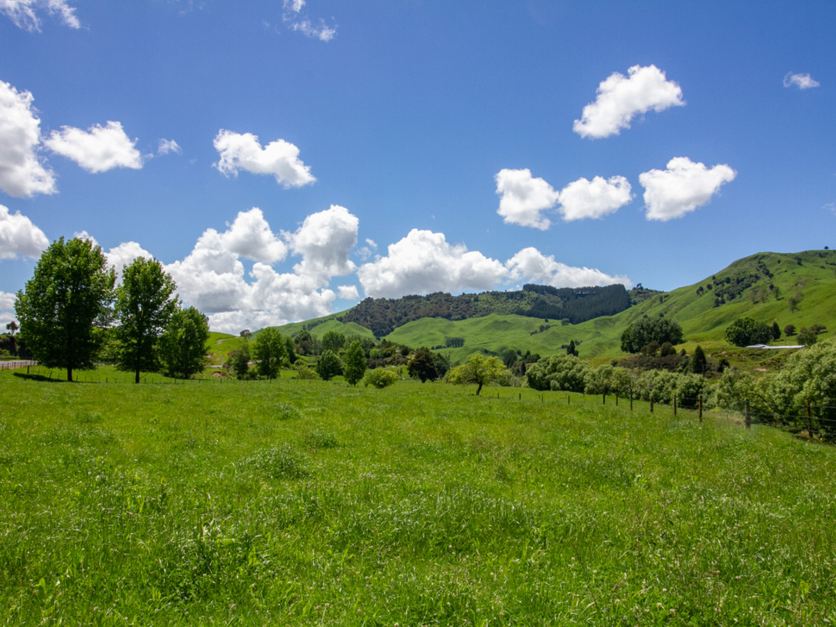 FIRST FARM OR LIFESTYLE