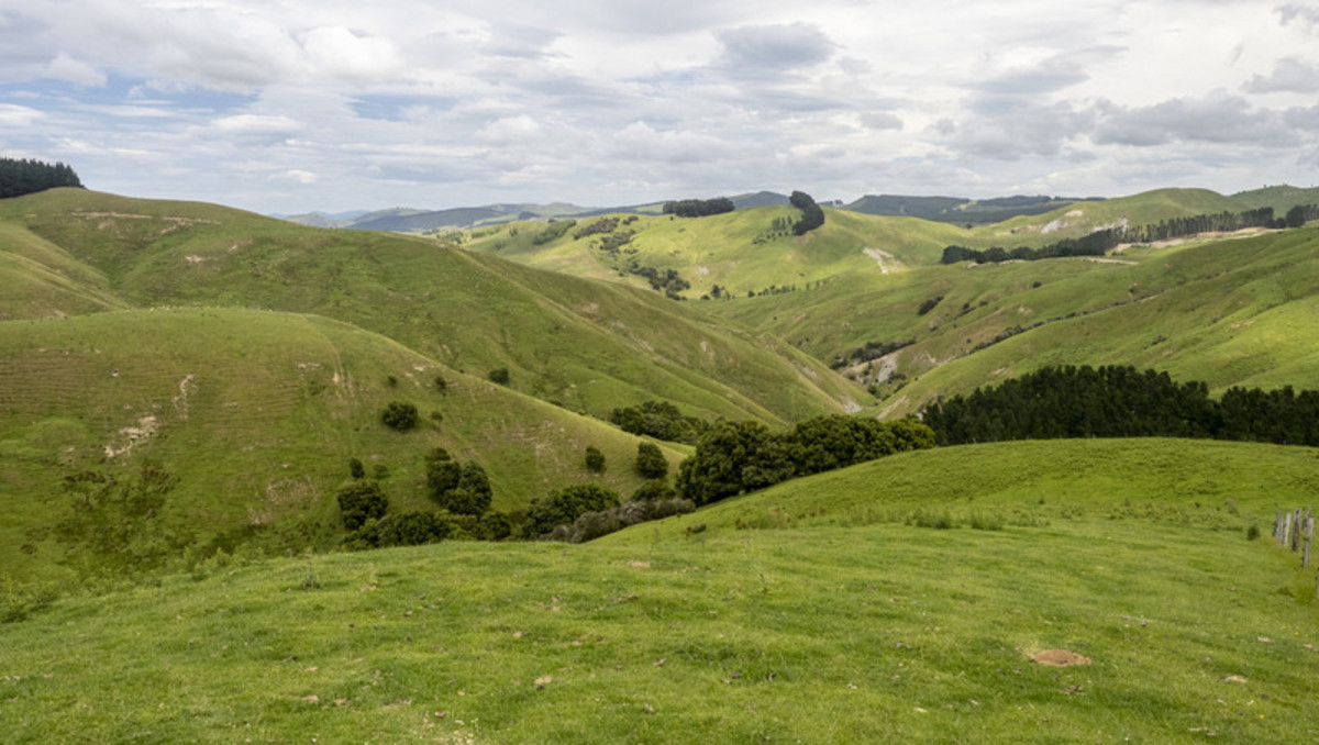 STRONG TINUI HILL COUNTRY WITH SCALE AND FURTHER POTENTIAL - 757HA