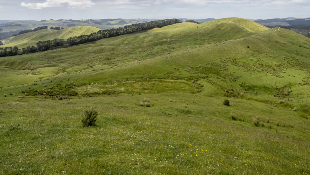 STRONG TINUI HILL COUNTRY WITH SCALE AND FURTHER POTENTIAL - 757HA