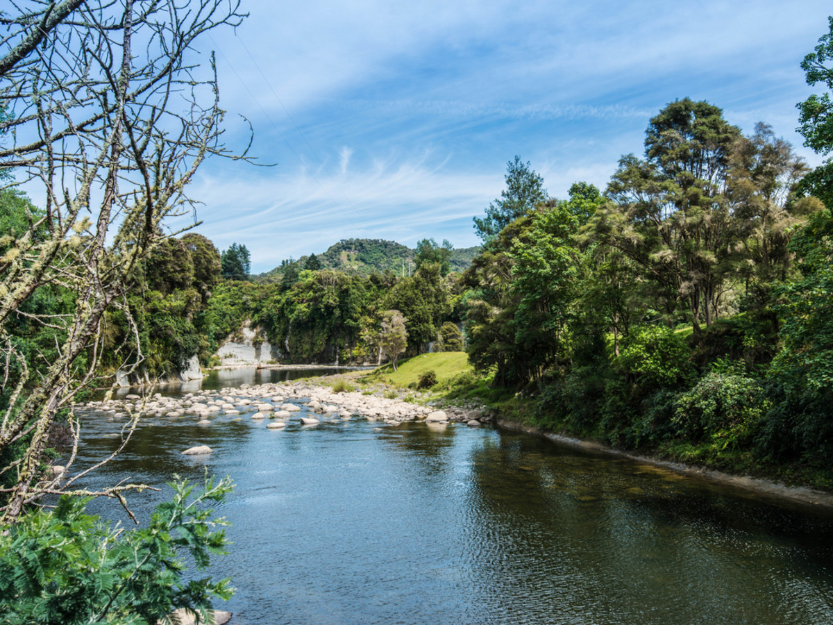 ON THE BANKS OF THE MANGANUI O TE AO