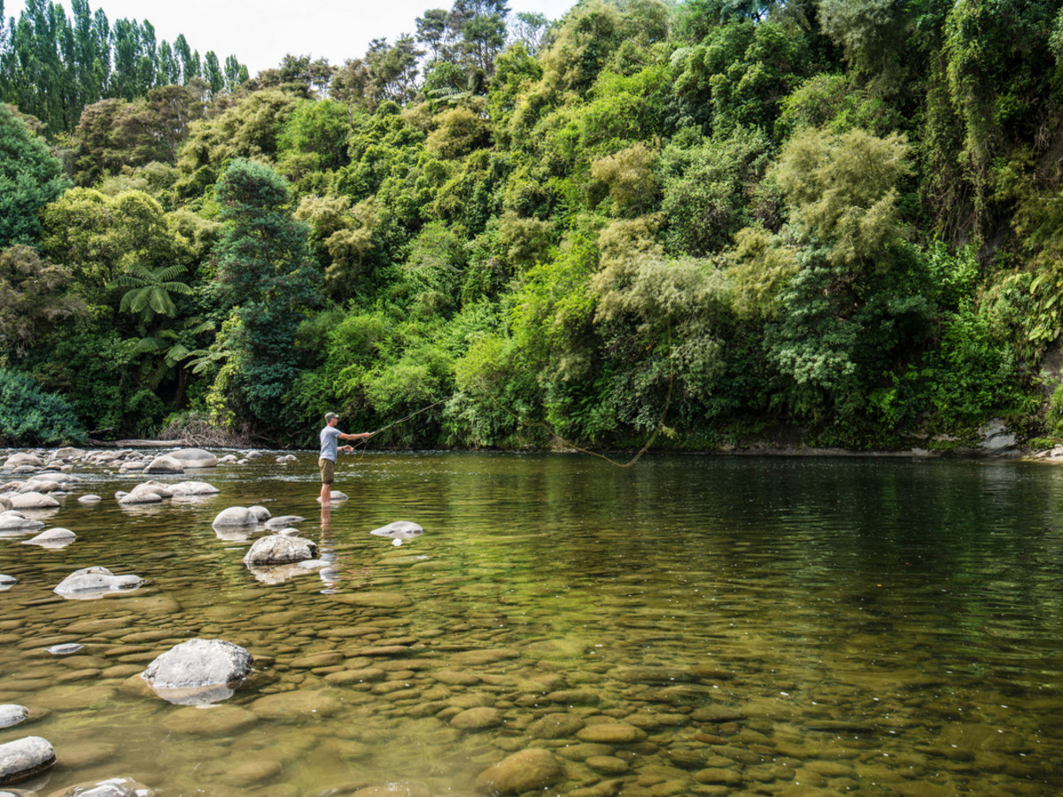 ON THE BANKS OF THE MANGANUI O TE AO