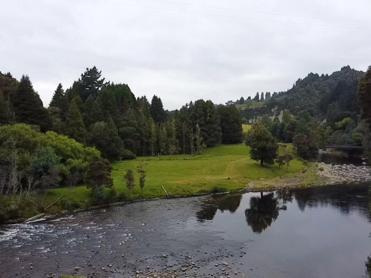 ON THE BANKS OF THE MANGANUI O TE AO