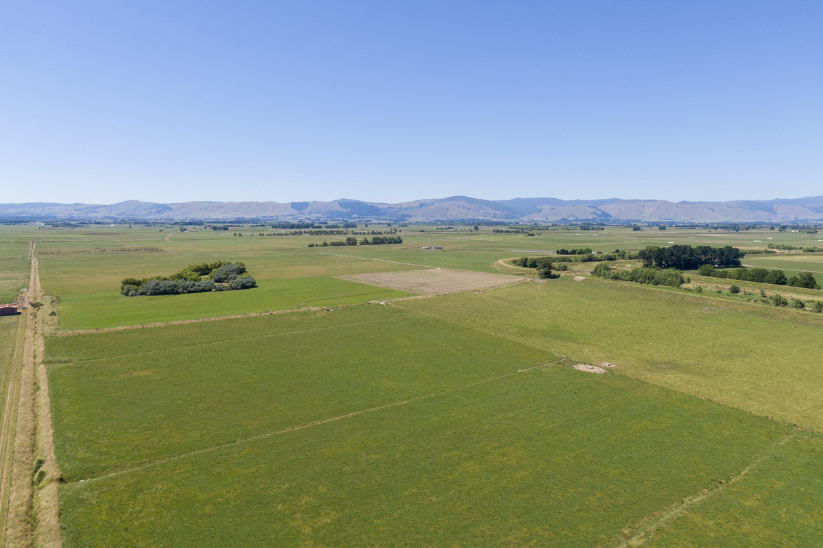 WELL DEVELOPED DAIRY WITH SCALE, JUST 15KM FROM THE CITY - 283HA