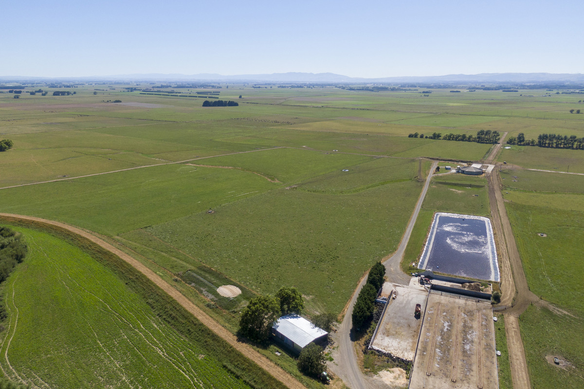 WELL DEVELOPED DAIRY WITH SCALE, JUST 15KM FROM THE CITY - 283HA