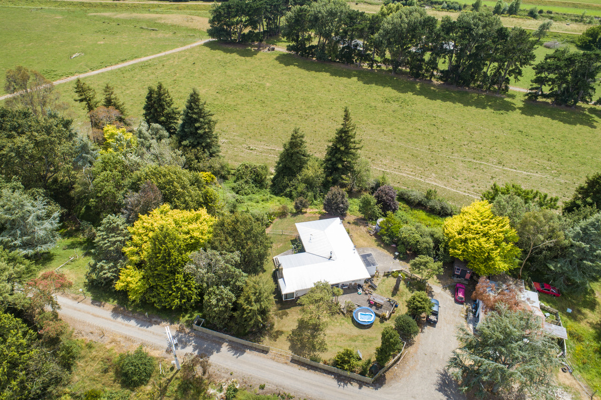 WELL DEVELOPED DAIRY WITH SCALE, JUST 15KM FROM THE CITY - 283HA