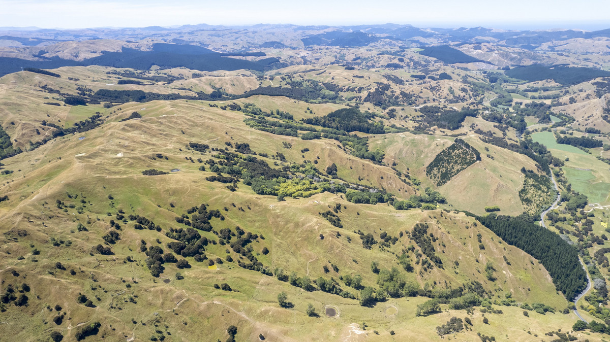 WELL LOCATED SUMMER BLOCK OPPORTUNITY – 236HA