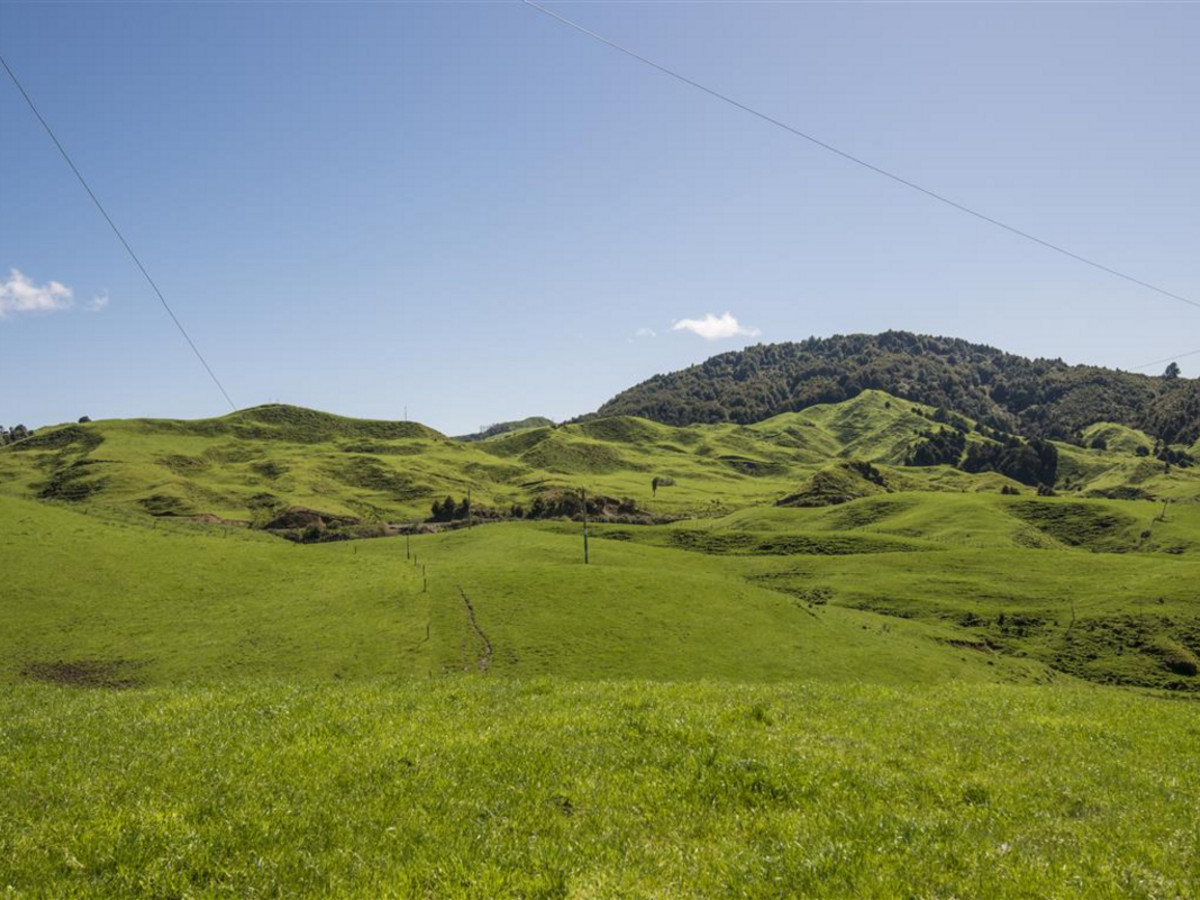 KING COUNTRY GEM - 460 HA