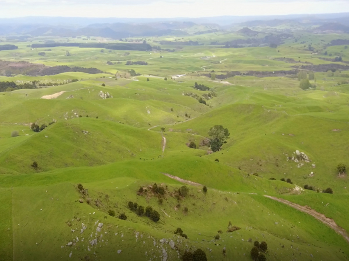 KING COUNTRY GEM - 460 HA