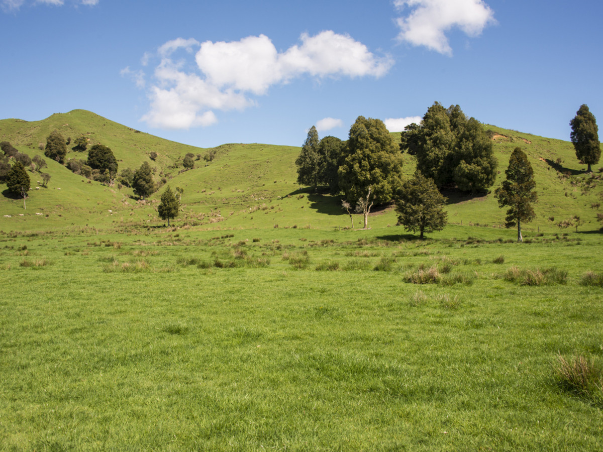 KING COUNTRY GEM - 460 HA