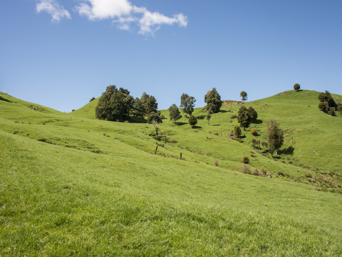 KING COUNTRY GEM - 460 HA