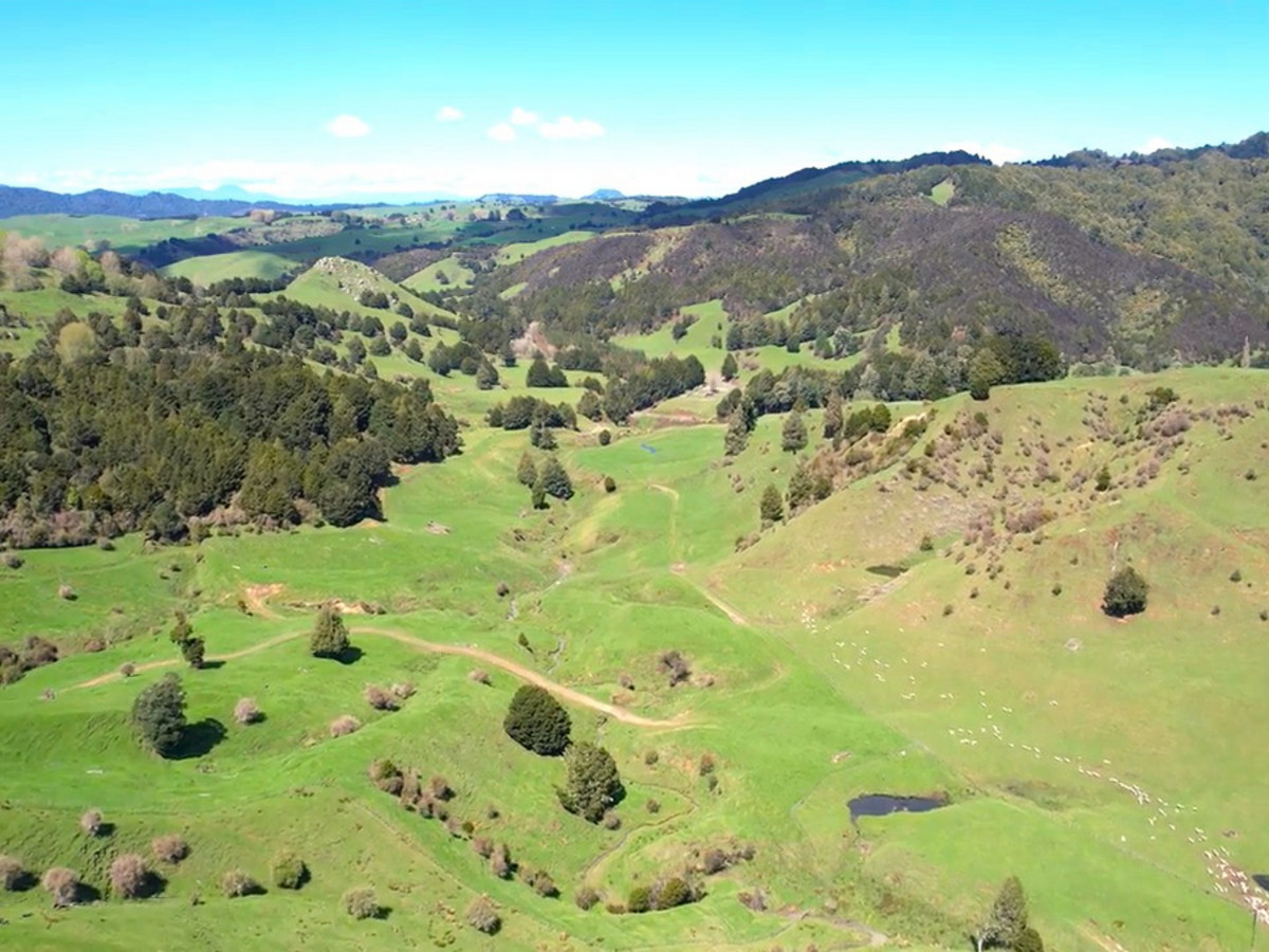 KING COUNTRY GEM - 460 HA