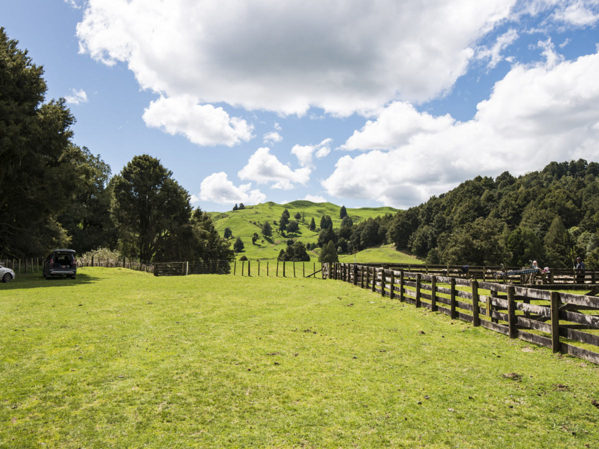 KING COUNTRY GEM - 460 HA