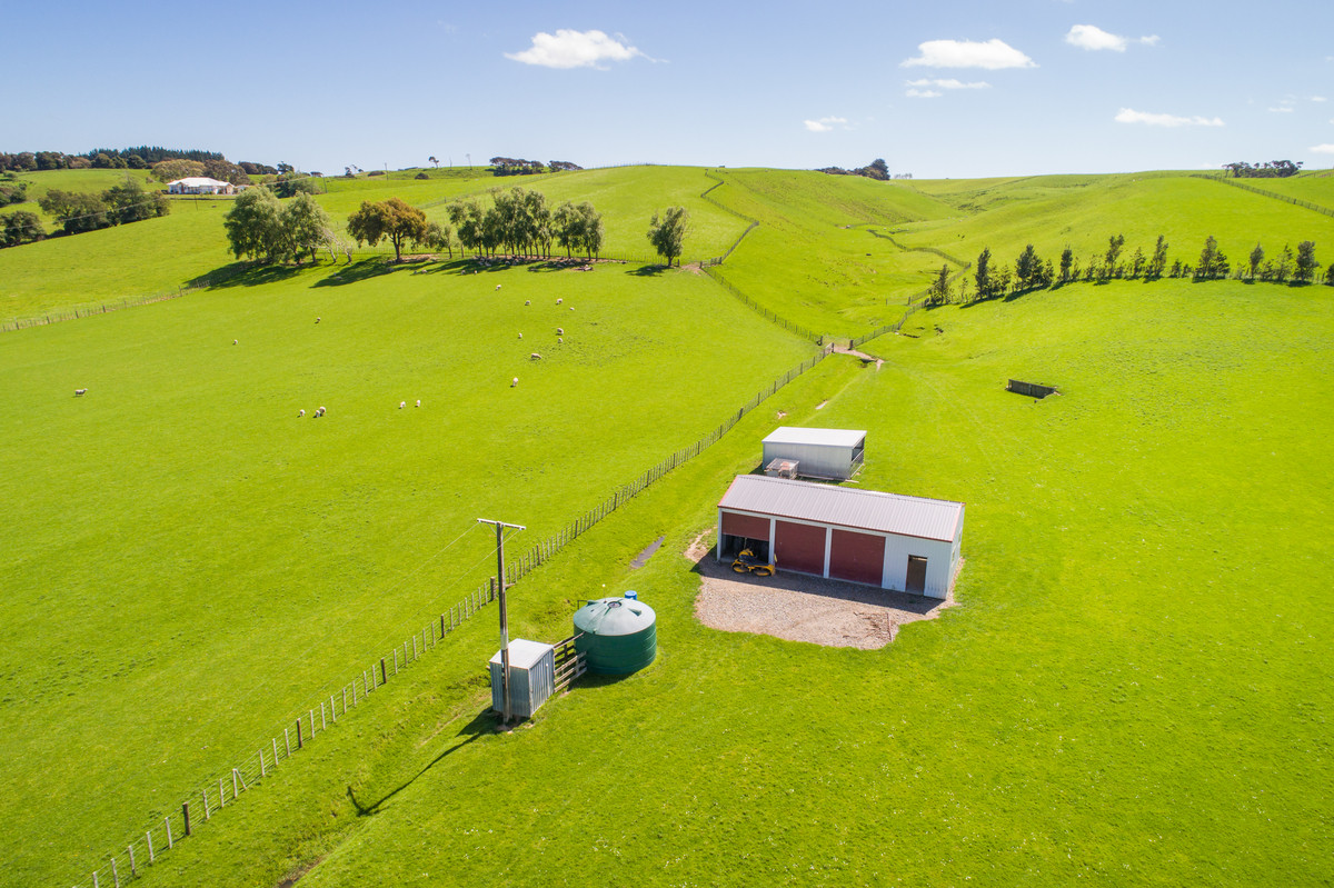 The Perfect Small Farm - 38 Acres