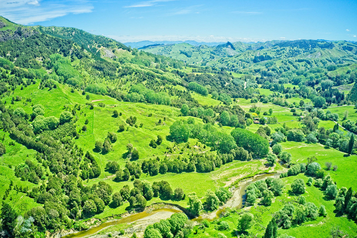 Te Waka - Small Farm, Big Lifestyle