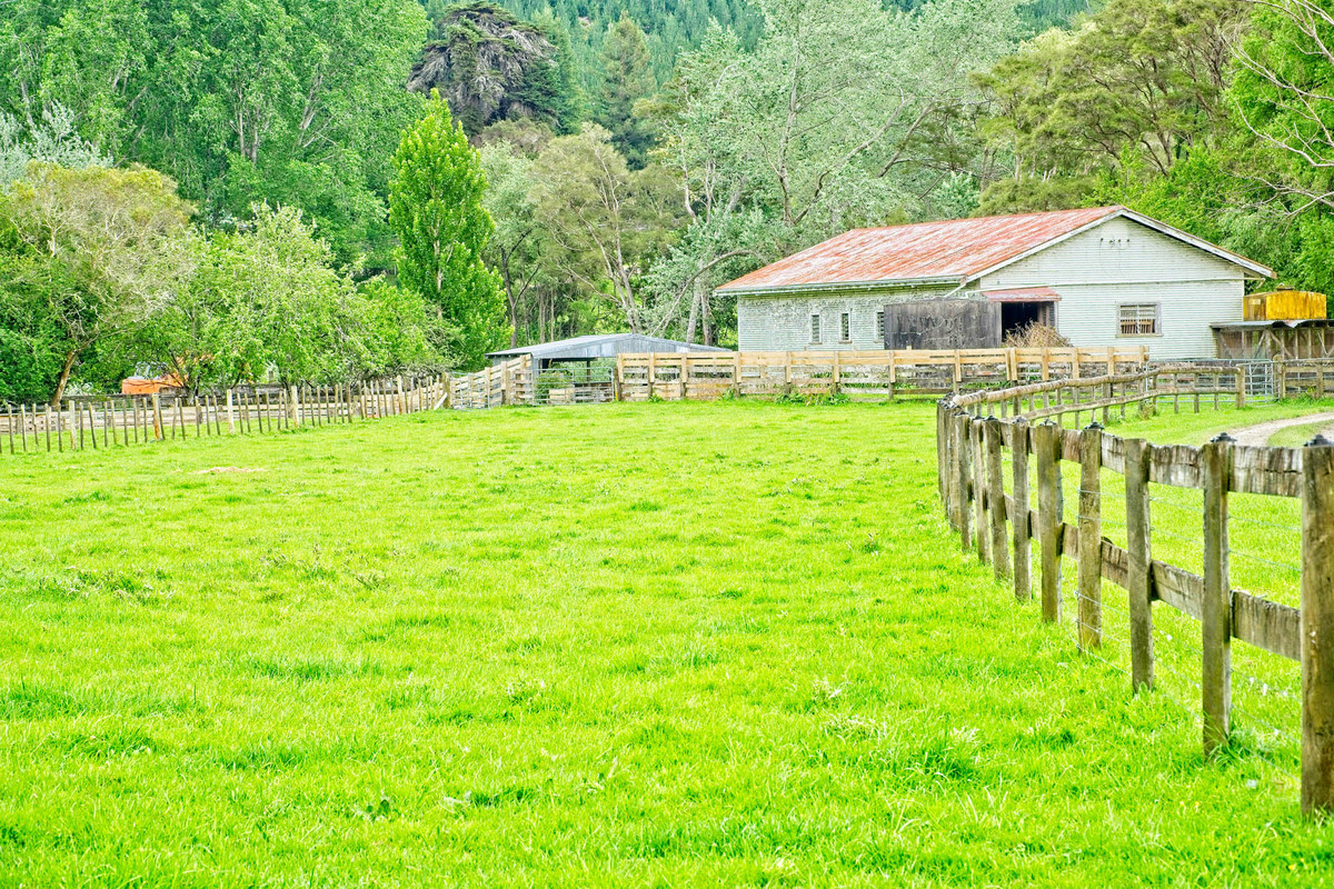 Te Waka - Small Farm, Big Lifestyle