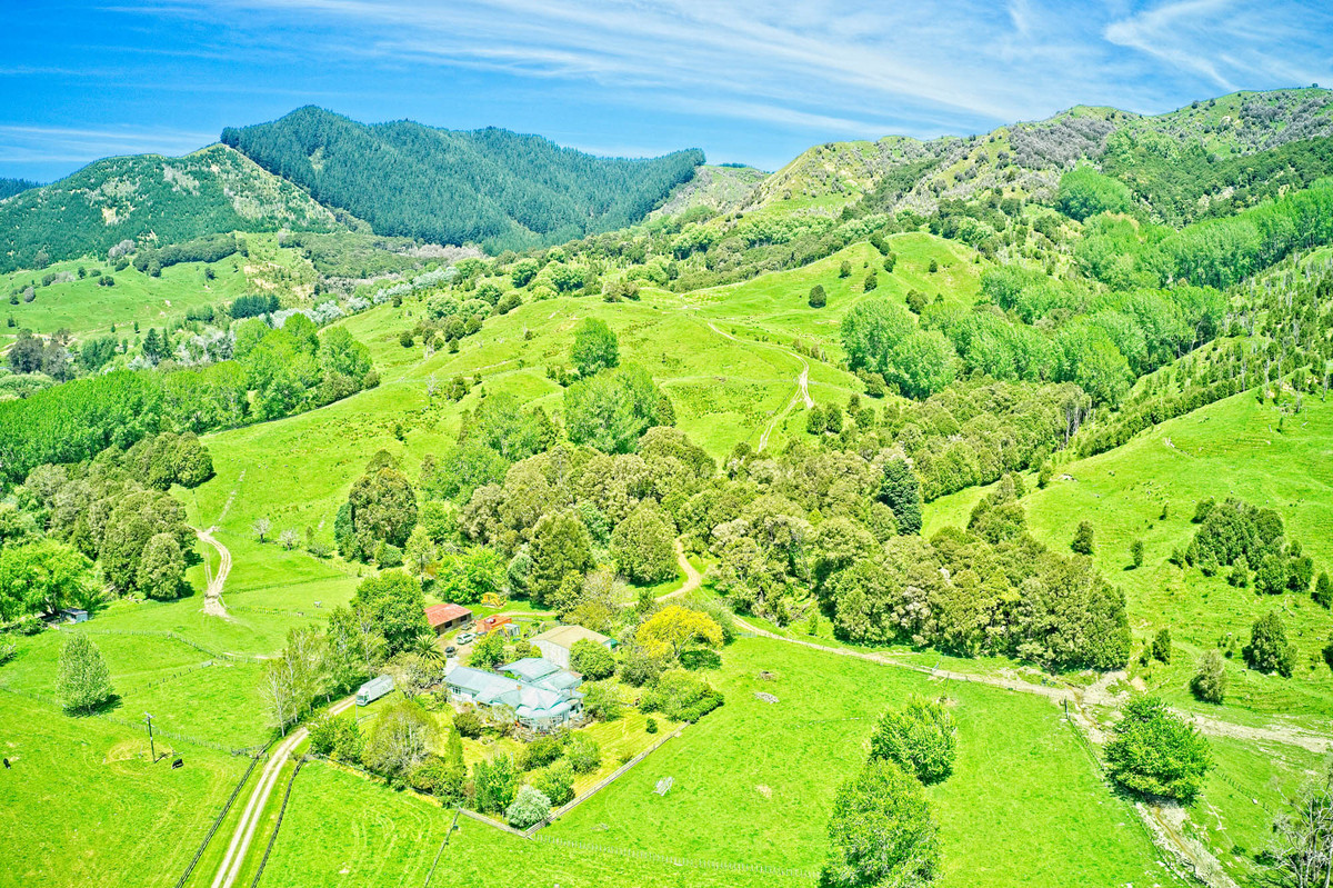 Te Waka - Small Farm, Big Lifestyle