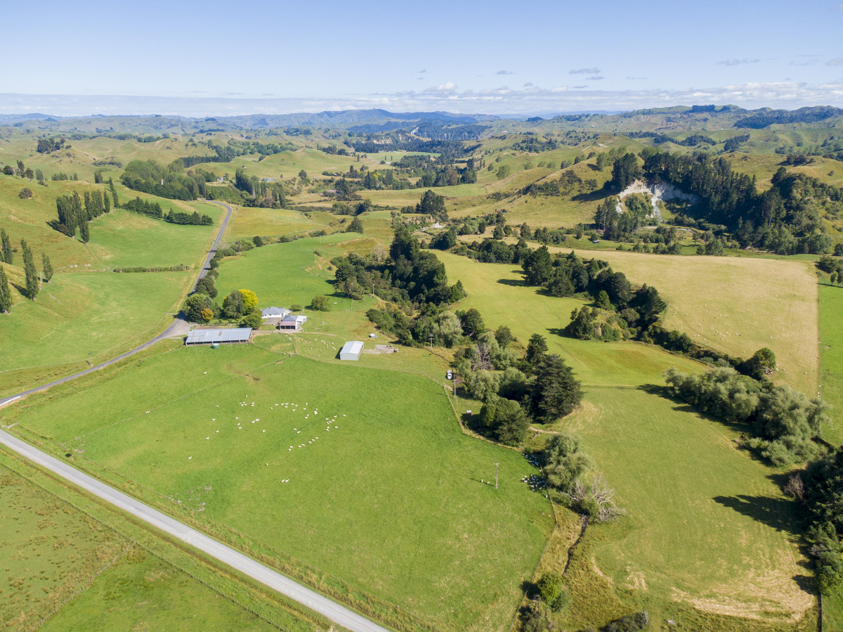 Immaculate Property With Purchase Options - 158.7ha