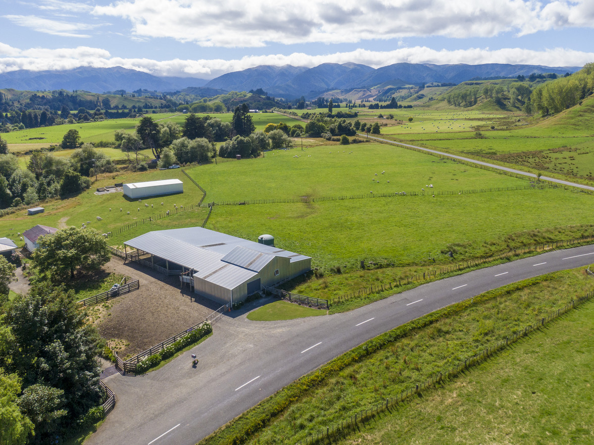 Immaculate Property With Purchase Options - 158.7ha