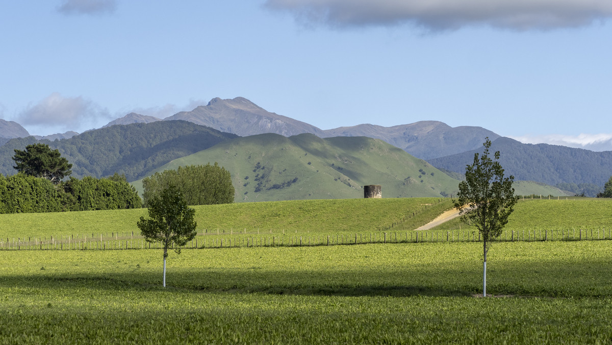 Hillview - Simply Outstanding - 170ha