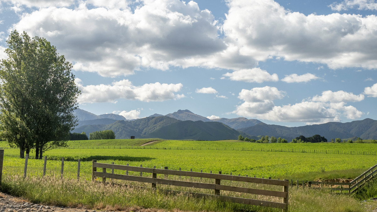 Hillview - Simply Outstanding - 170ha